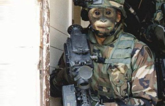 20858 4736 1279390372[1]