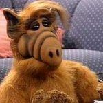 alf