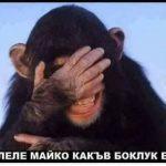 маймунката