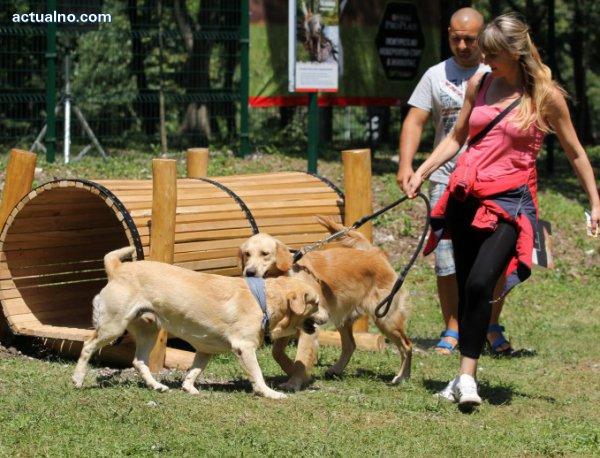 kucheta na povod