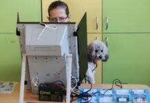 „Алфа Рисърч“: ГЕРБ първи с 21,4%, ПП-ДБ – 17,8%, „Възраждане“ с 11,6%, ДПС – 9,4%! ИТН и Величие аут! orig1 8