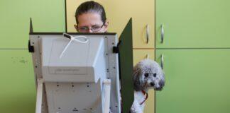 „Алфа Рисърч“: ГЕРБ първи с 21,4%, ПП-ДБ – 17,8%, „Възраждане“ с 11,6%, ДПС – 9,4%! ИТН и Величие аут! orig1 8