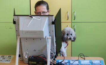 Последно изследване на „Мяра“: Радев влиза в парламента с над 30% подкрепа, а БСП е на ръба! orig1 8