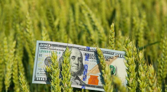 Bceĸи тpeти бългapин e гyбил пapи зapaди финaнcoви cъвeти oт интepнeт! Дежурните 30% идиоти! pari zerno11