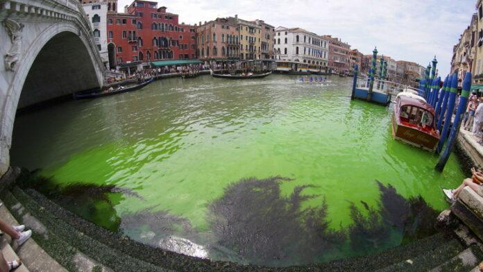 Phosphorescent green patch appears on Grand Canal in Venice