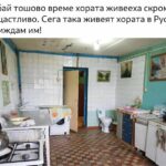 ватенки в кочината