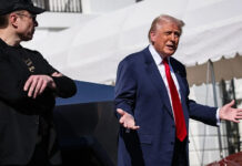 musk trump[1]