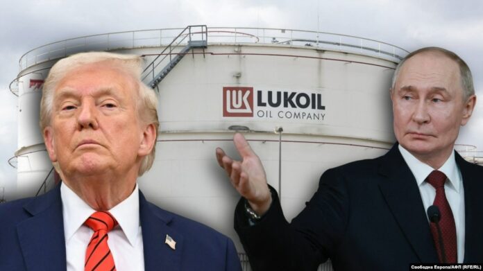 7297cc0b abb6 41d6 9d70 08ddfa911745 w1023 r1 s[1]