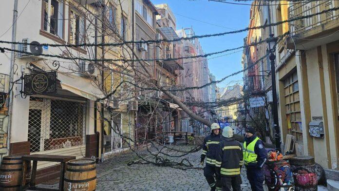 605861064 1194049102852088 1276494259004105852 n[1]