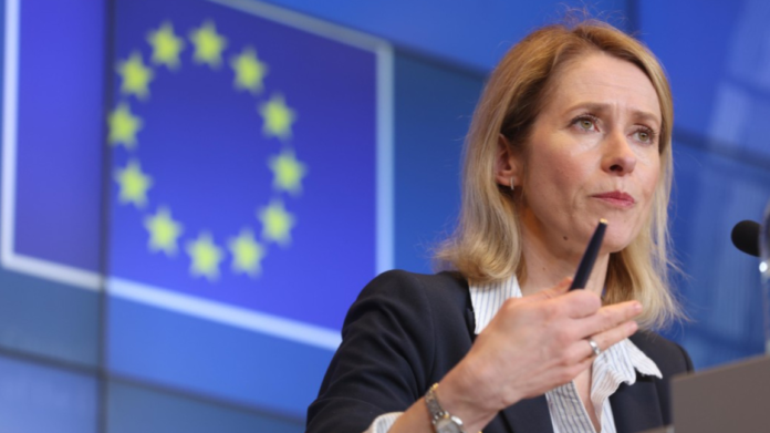 1768736403 696cc6930e130[1]