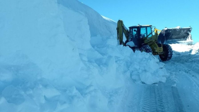 1769066072 6971ce584bdc5[1]