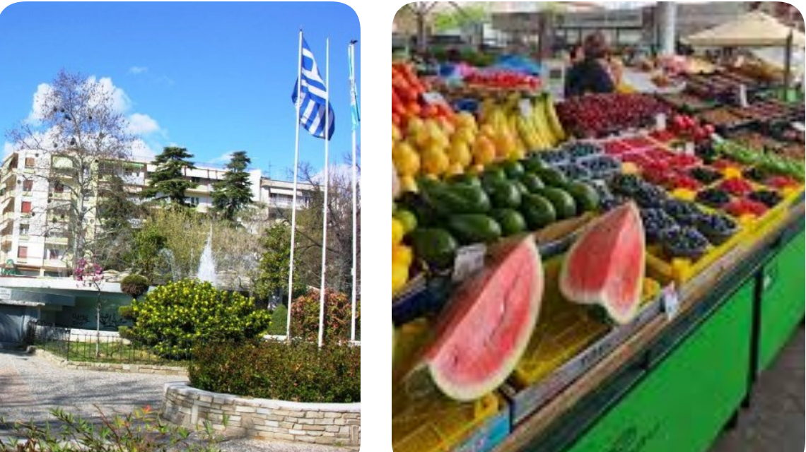 collage 35 e1774344827315[1]