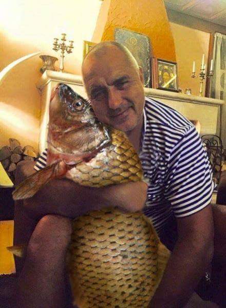 p 5f7443072bdf3 5f74811c0938f[1]