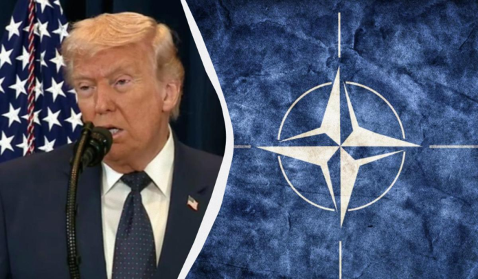 1776241061 69df49a5789e3[1]