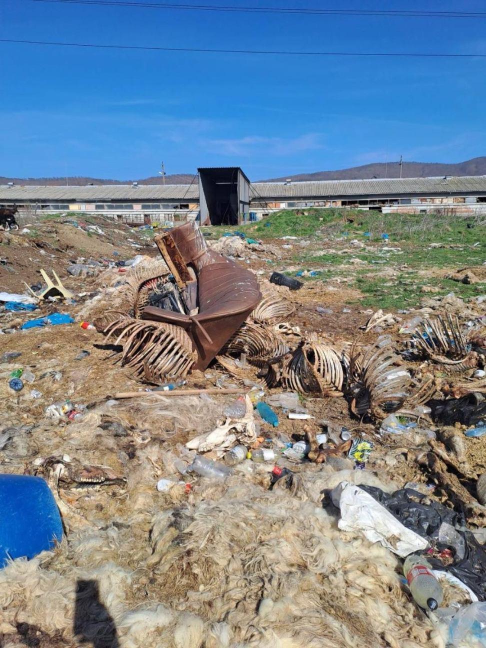 кланници AKCIA